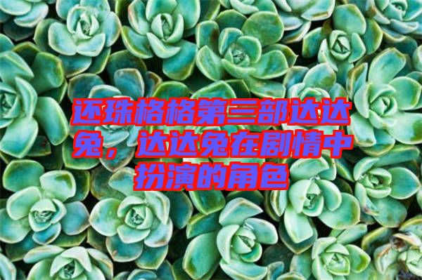 還珠格格第三部達達兔，達達兔在劇情中扮演的角色
