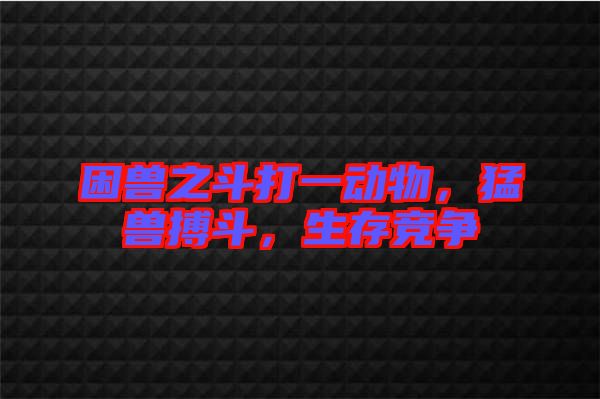 困獸之斗打一動(dòng)物，猛獸搏斗，生存競(jìng)爭(zhēng)