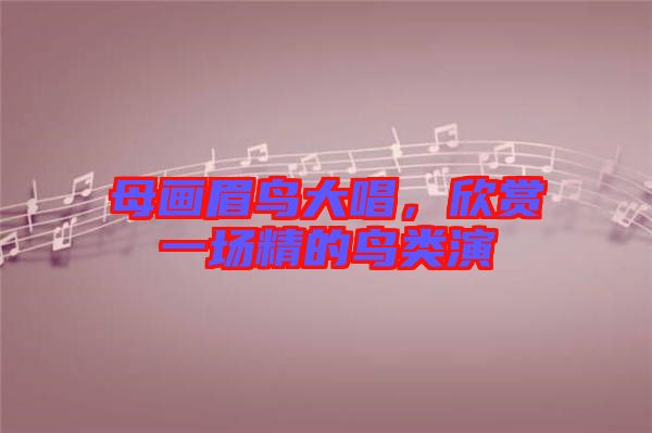 母畫眉鳥大唱，欣賞一場精的鳥類演