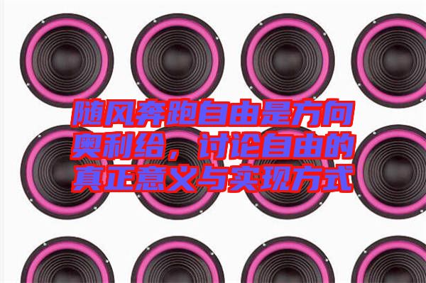 隨風(fēng)奔跑自由是方向奧利給，討論自由的真正意義與實(shí)現(xiàn)方式