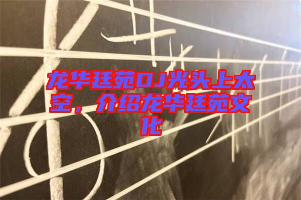 龍華廷苑DJ光頭上太空，介紹龍華廷苑文化