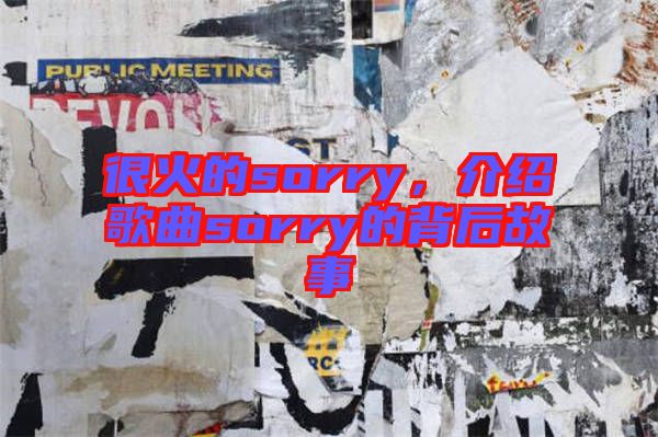 很火的sorry，介紹歌曲sorry的背后故事