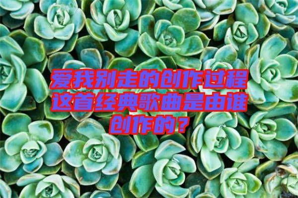 愛(ài)我別走的創(chuàng)作過(guò)程這首經(jīng)典歌曲是由誰(shuí)創(chuàng)作的？