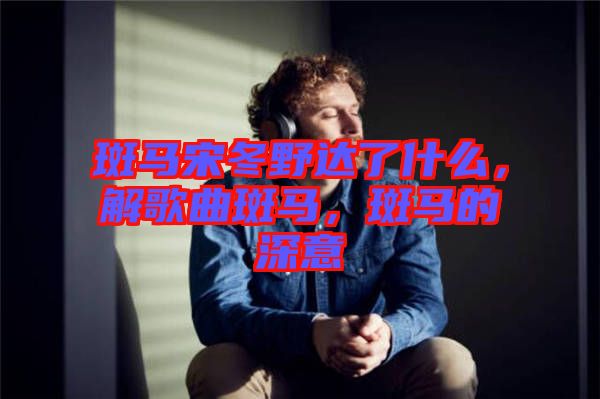 斑馬宋冬野達(dá)了什么，解歌曲斑馬，斑馬的深意