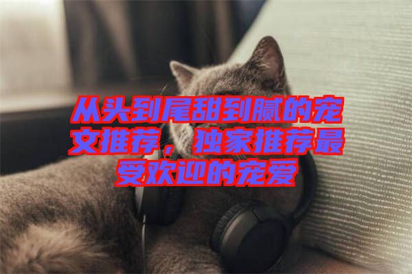 從頭到尾甜到膩的寵文推薦，獨(dú)家推薦最受歡迎的寵愛