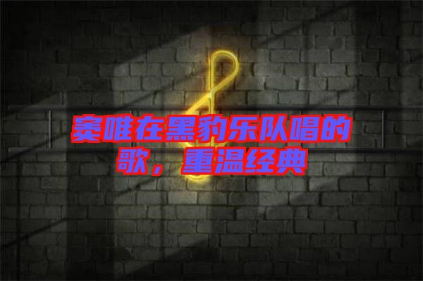 竇唯在黑豹樂隊唱的歌，重溫經(jīng)典