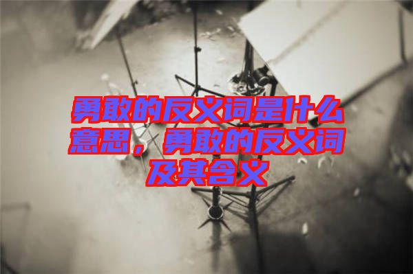 勇敢的反義詞是什么意思，勇敢的反義詞及其含義