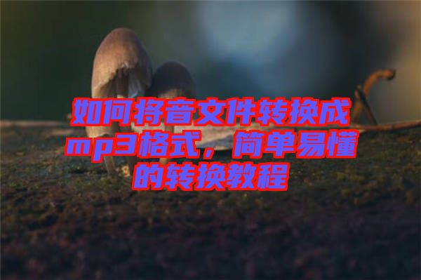 如何將音文件轉(zhuǎn)換成mp3格式，簡(jiǎn)單易懂的轉(zhuǎn)換教程