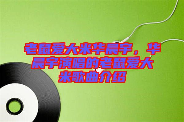 老鼠愛(ài)大米華晨宇，華晨宇演唱的老鼠愛(ài)大米歌曲介紹