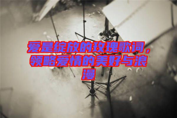 愛是綻放的玫瑰歌詞，領(lǐng)略愛情的美好與浪漫