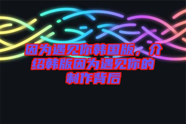 因?yàn)橛鲆娔沩n國版，介紹韓版因?yàn)橛鲆娔愕闹谱鞅澈? width=