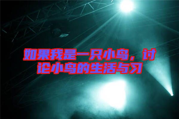 如果我是一只小鳥，討論小鳥的生活與習(xí)