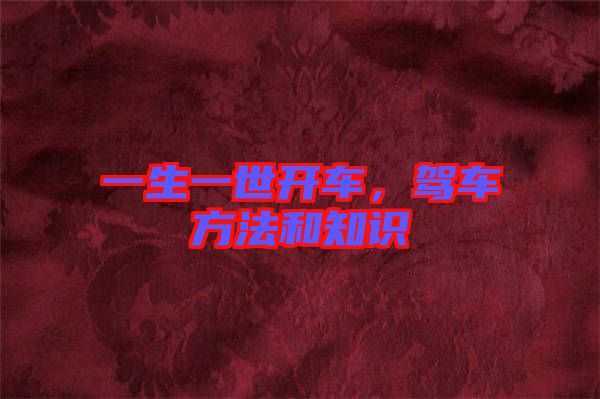 一生一世開車，駕車方法和知識