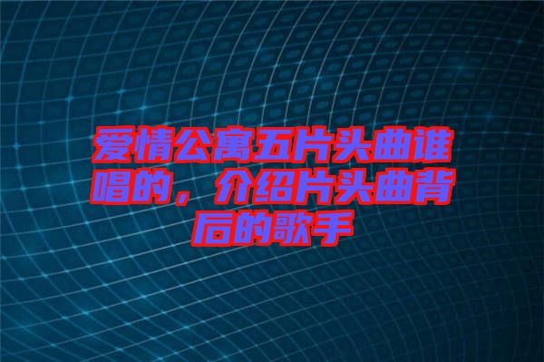 愛情公寓五片頭曲誰唱的，介紹片頭曲背后的歌手