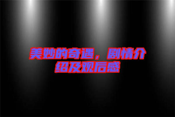 美妙的奇遇，劇情介紹及觀后感