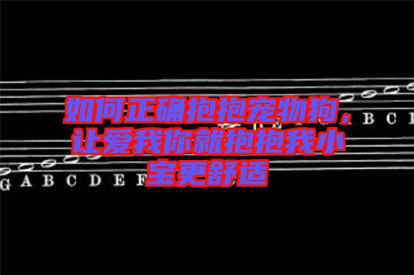 如何正確抱抱寵物狗，讓愛我你就抱抱我小寶更舒適