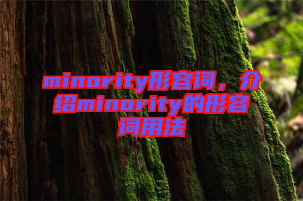 minority形容詞，介紹minority的形容詞用法