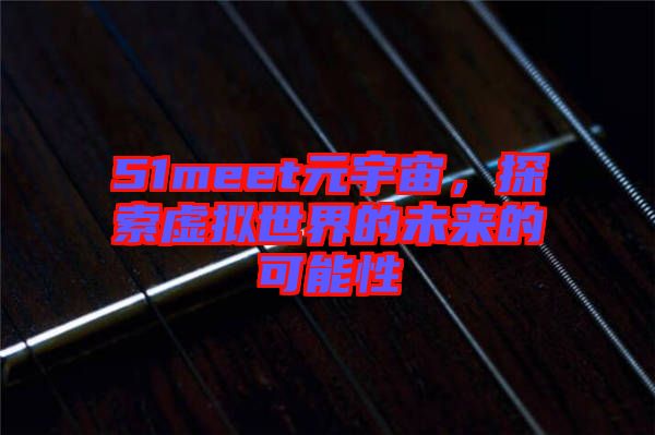 51meet元宇宙，探索虛擬世界的未來的可能性
