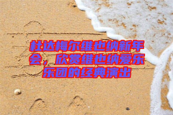 杜達(dá)梅爾維也納新年會(huì)，欣賞維也納愛樂樂團(tuán)的經(jīng)典演出