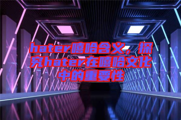 hater嘻哈含義，探究hater在嘻哈文化中的重要性