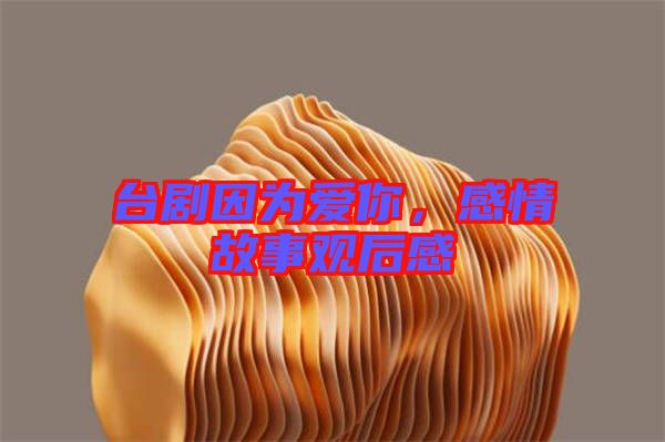 臺(tái)劇因?yàn)閻?ài)你，感情故事觀后感