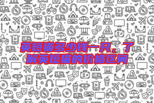 英短貓多少錢一只，了解英短貓的價格區(qū)間