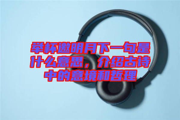 舉杯邀明月下一句是什么意思，介紹古詩中的意境和哲理