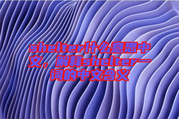 shelter什么意思中文，解釋shelter一詞的中文含義