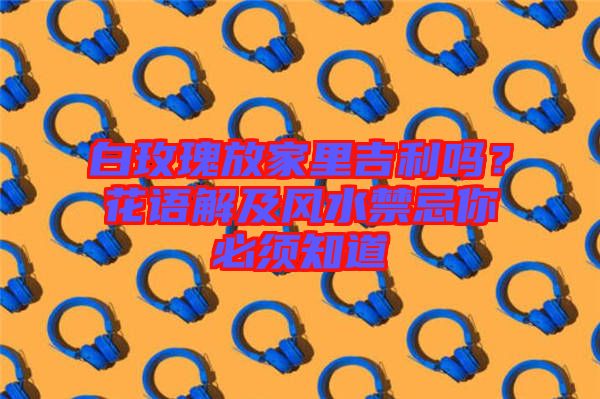 白玫瑰放家里吉利嗎？花語解及風水禁忌你必須知道
