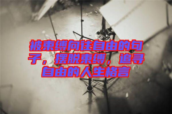 被束縛向往自由的句子，擺脫束縛，追尋自由的人生格言
