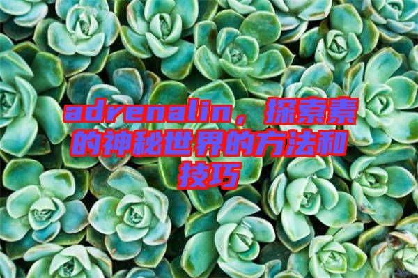 adrenalin，探索素的神秘世界的方法和技巧