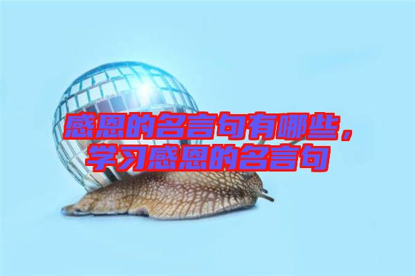 感恩的名言句有哪些，學(xué)習(xí)感恩的名言句