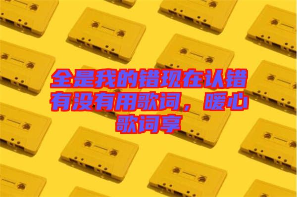 全是我的錯現(xiàn)在認錯有沒有用歌詞，暖心歌詞享