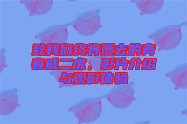致我們終將逝去的青春戚二虎，影片介紹與觀影體驗