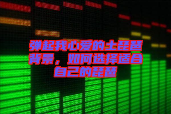彈起我心愛(ài)的土琵琶背景，如何選擇適合自己的琵琶