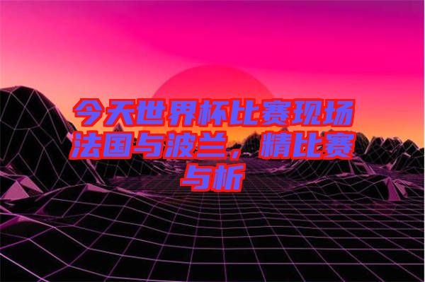 今天世界杯比賽現(xiàn)場法國與波蘭，精比賽與析
