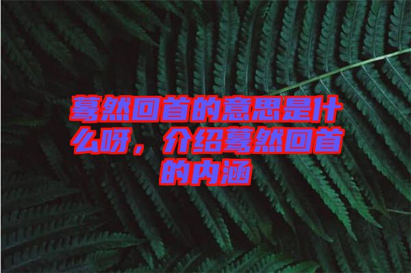 驀然回首的意思是什么呀，介紹驀然回首的內(nèi)涵