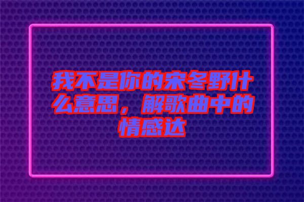 我不是你的宋冬野什么意思，解歌曲中的情感達(dá)