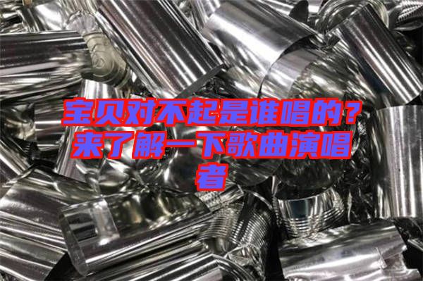 寶貝對不起是誰唱的？來了解一下歌曲演唱者