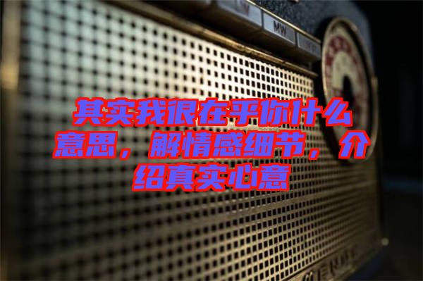 其實我很在乎你什么意思，解情感細(xì)節(jié)，介紹真實心意