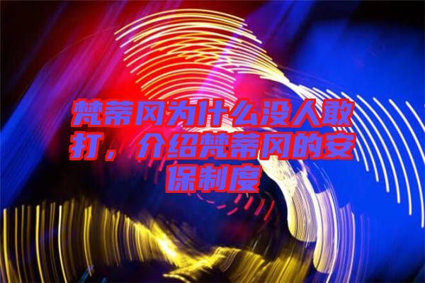 梵蒂岡為什么沒(méi)人敢打，介紹梵蒂岡的安保制度
