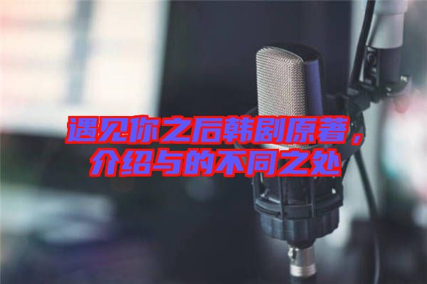 遇見(jiàn)你之后韓劇原著，介紹與的不同之處