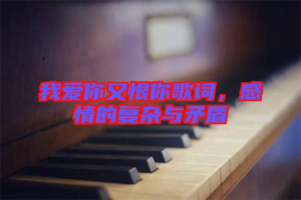 我愛你又恨你歌詞，感情的復(fù)雜與矛盾