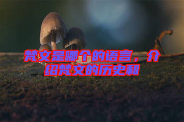 梵文是哪個(gè)的語言，介紹梵文的歷史和