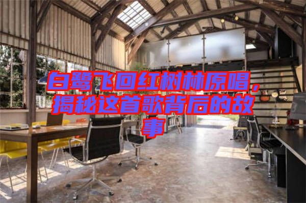 白鷺飛回紅樹(shù)林原唱，揭秘這首歌背后的故事