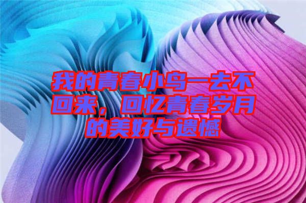 我的青春小鳥一去不回來，回憶青春歲月的美好與遺憾