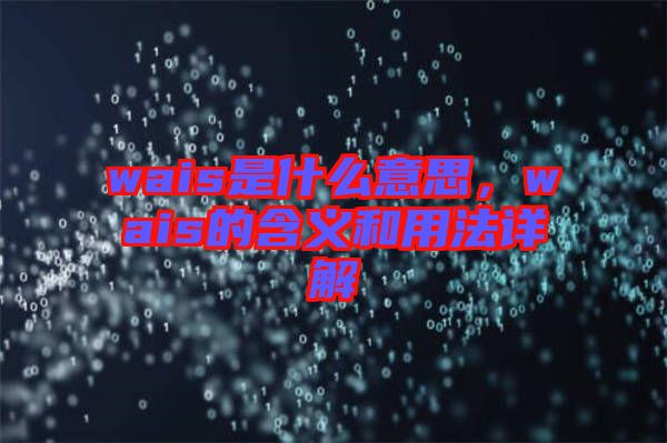 wais是什么意思，wais的含義和用法詳解