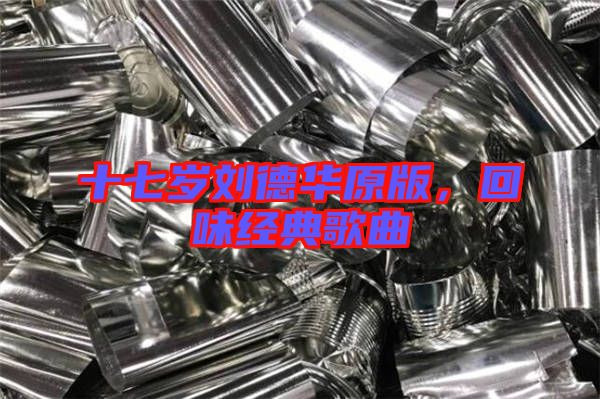 十七歲劉德華原版，回味經(jīng)典歌曲