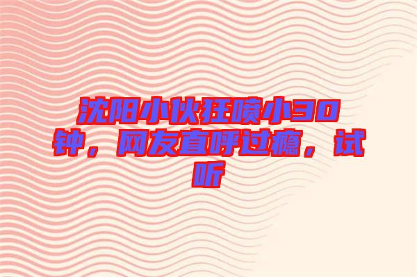 沈陽小伙狂噴小30鐘，網(wǎng)友直呼過癮，試聽