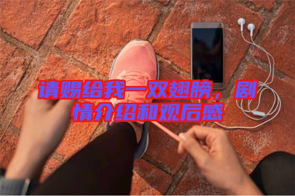 請(qǐng)賜給我一雙翅膀，劇情介紹和觀后感